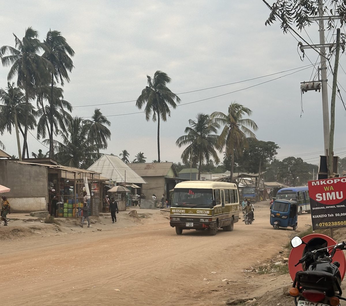 Ihmisiä talojen edustalla, busseja ja mopoja ajamassa tiellä
